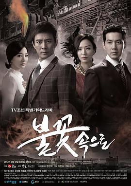 萝岗区seo多少钱